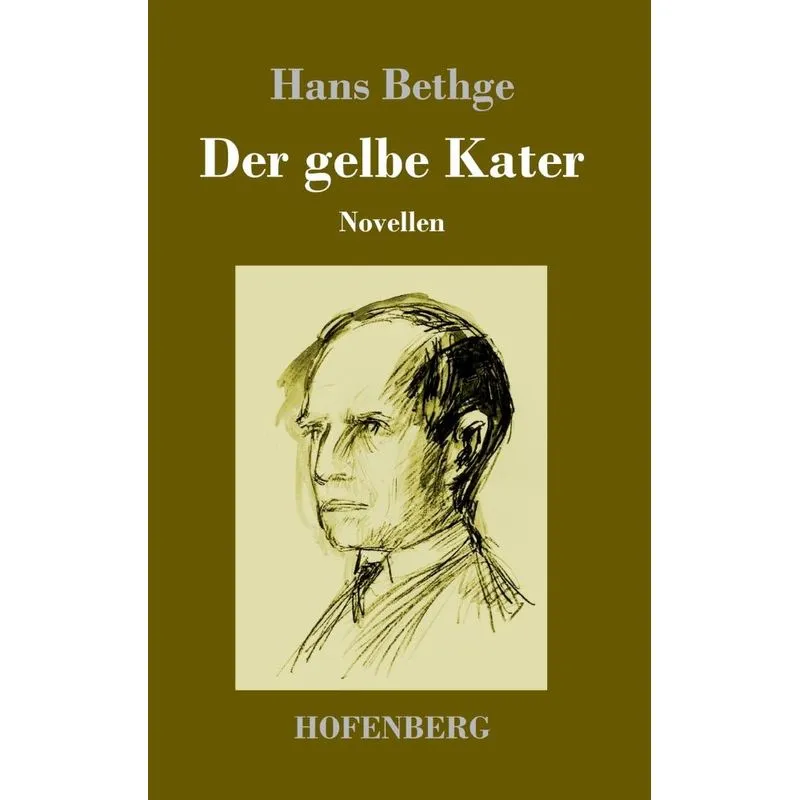 Der gelbe Kater