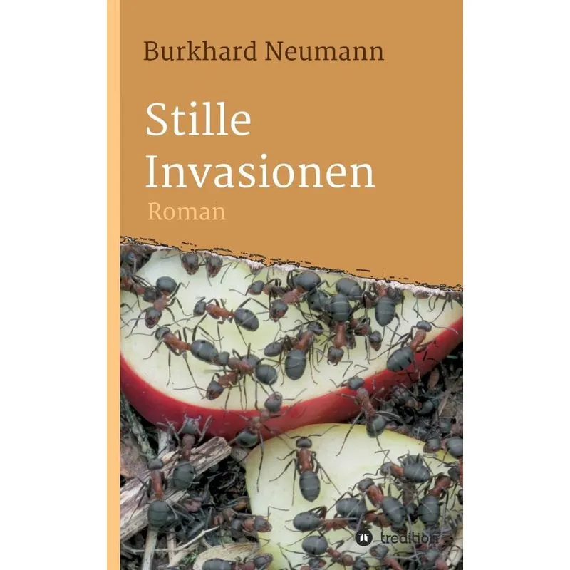 Stille Invasionen