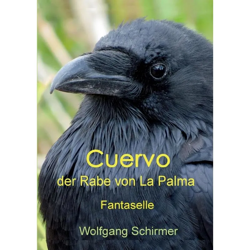 Cuervo - der Rabe von La Palma