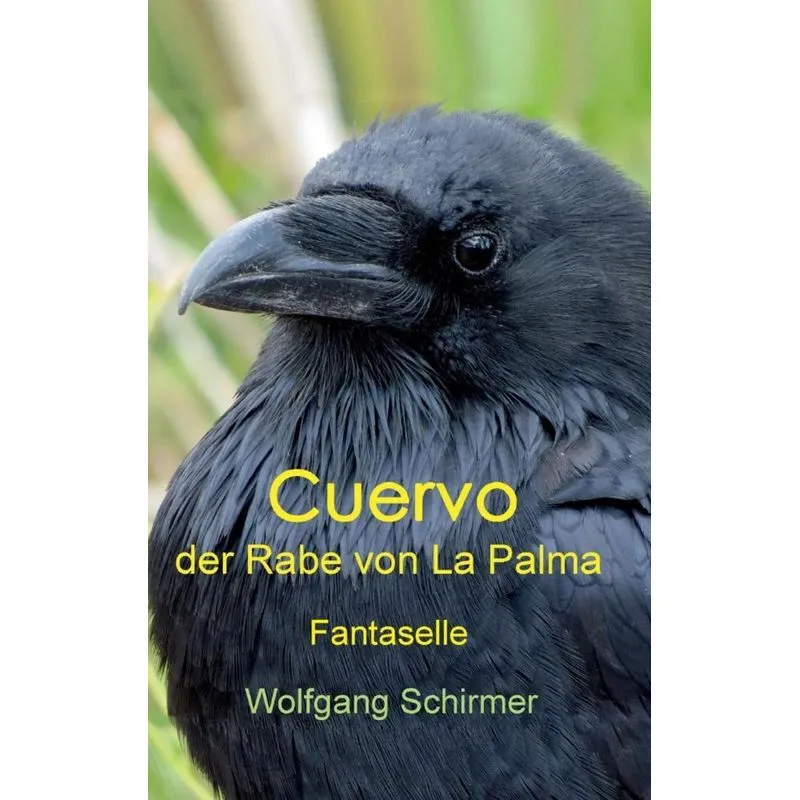 Cuervo - der Rabe von La Palma
