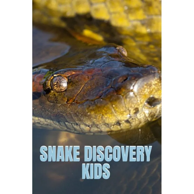 Snake Discovery Kids