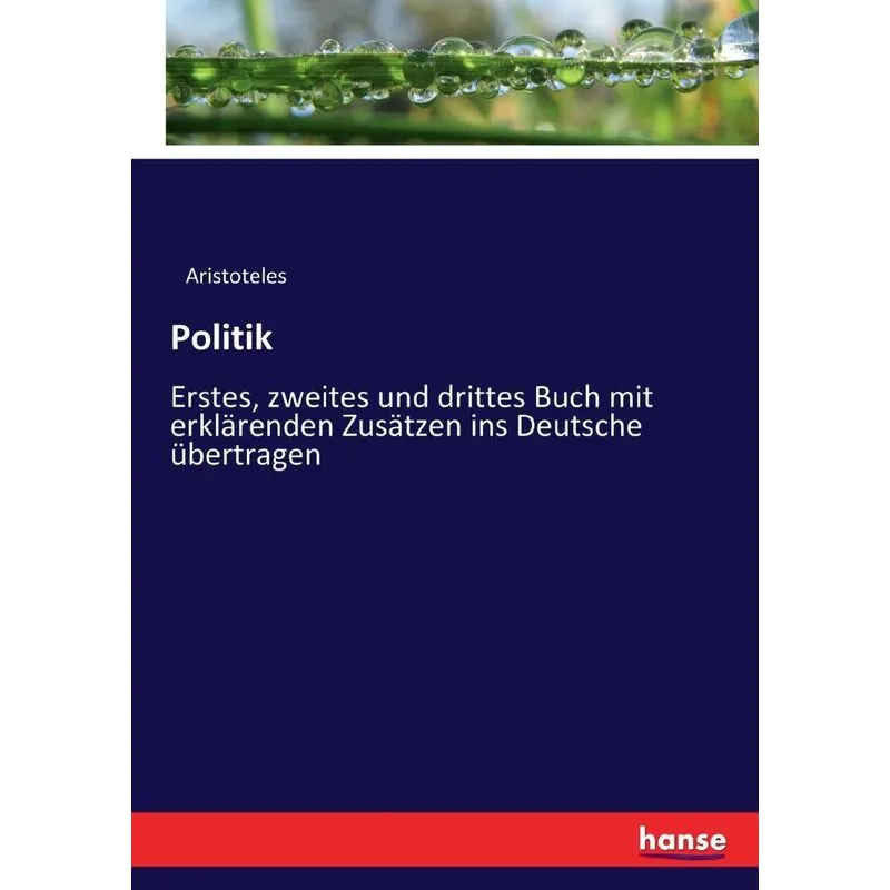 Politik