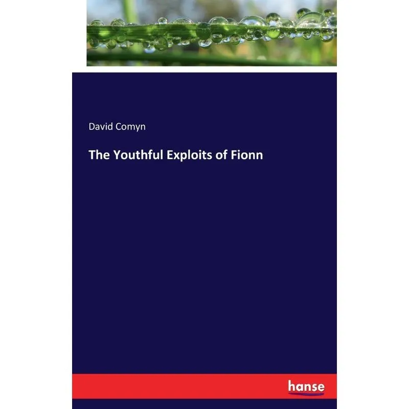 The Youthful Exploits of Fionn