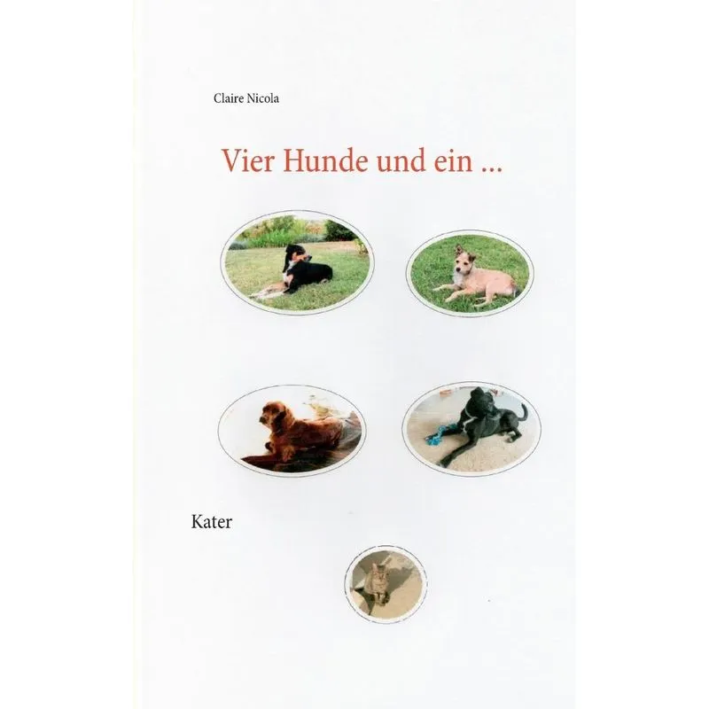 Vier Hunde und ein Kater