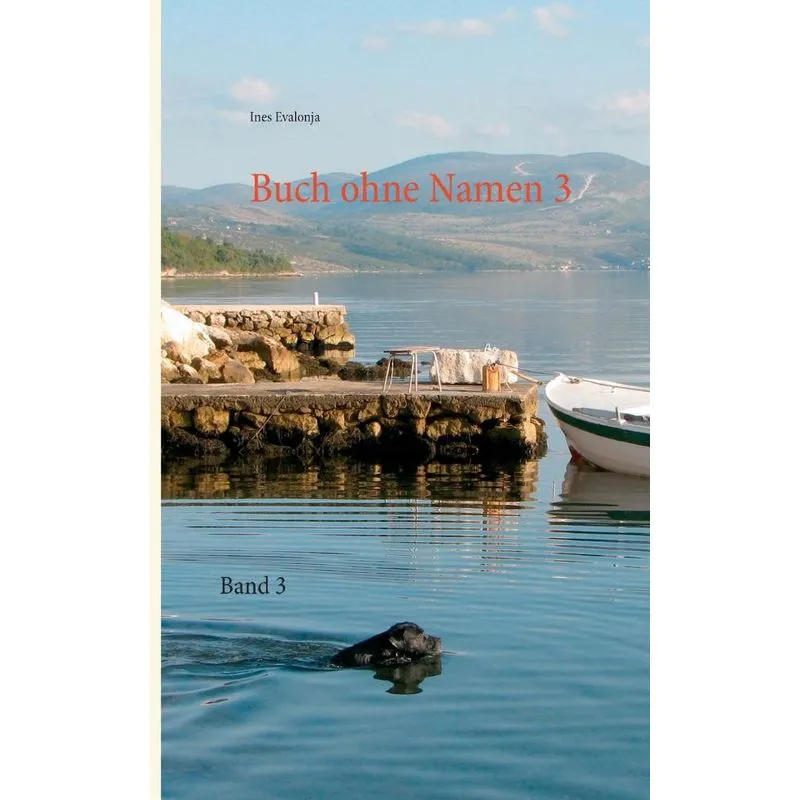 Buch ohne Namen 3