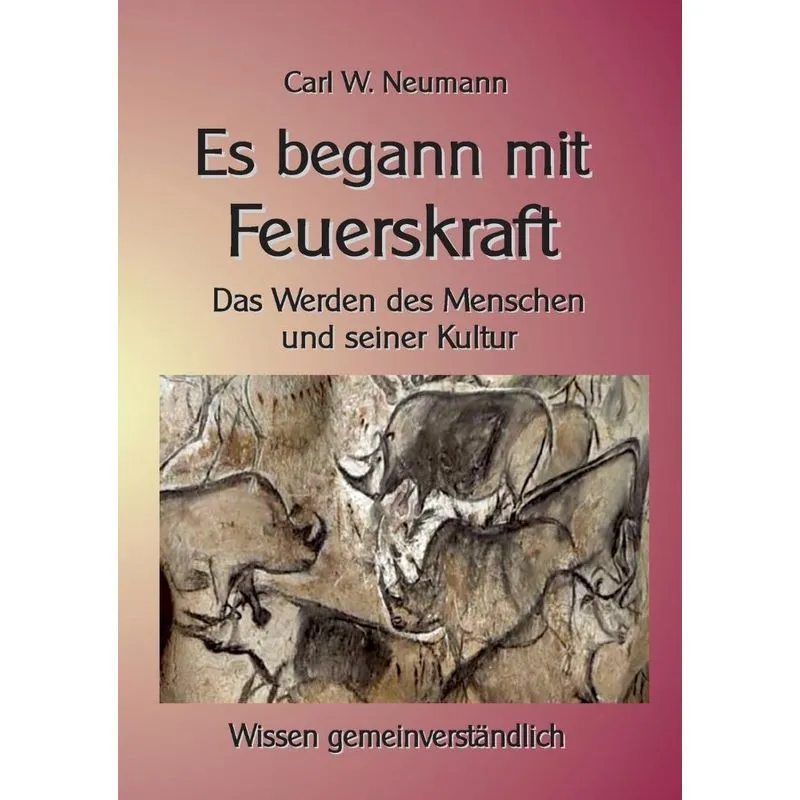 Es begann mit Feuerskraft