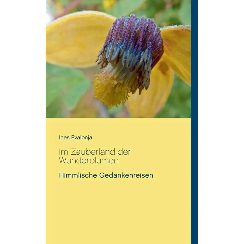 Im Zauberland der Wunderblumen