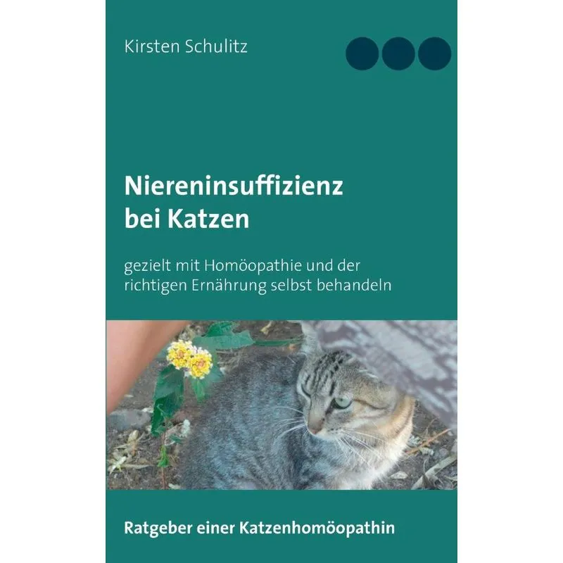 Niereninsuffizienz bei Katzen
