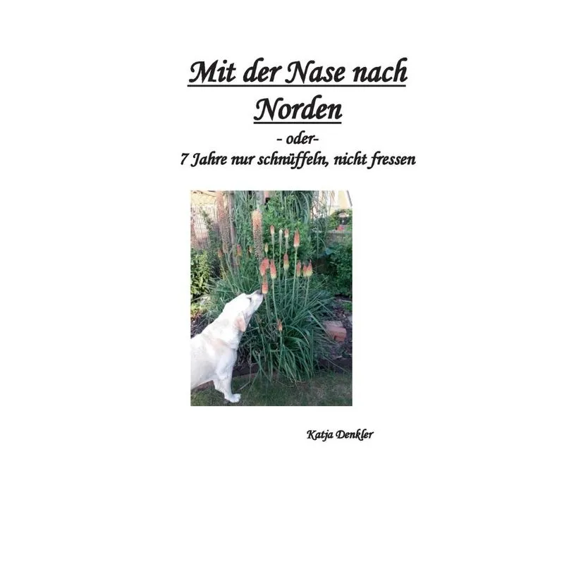 Mit der Nase nach Norden