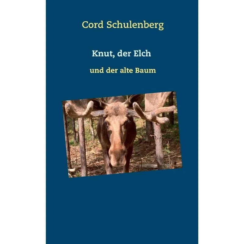 Knut, der Elch