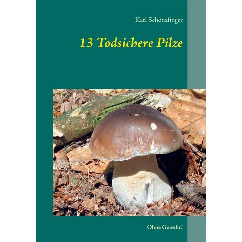13 Todsichere Pilze