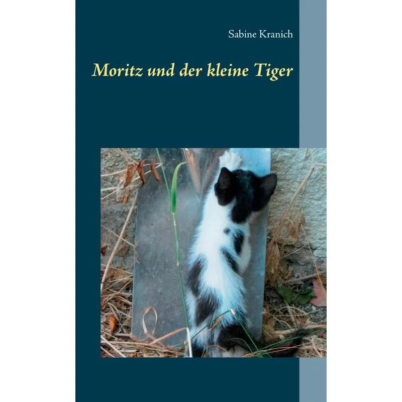 Moritz und der kleine Tiger