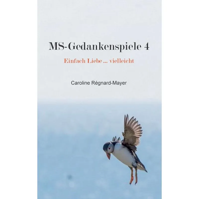 MS-Gedankenspiele 4