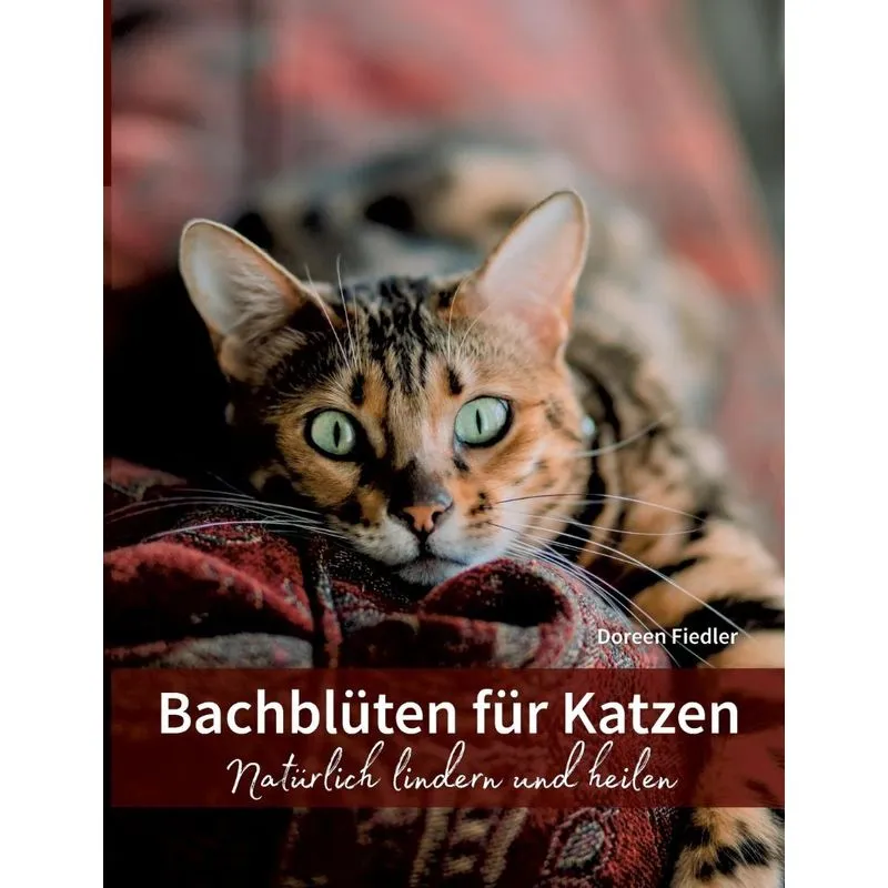Bachblüten für Katzen