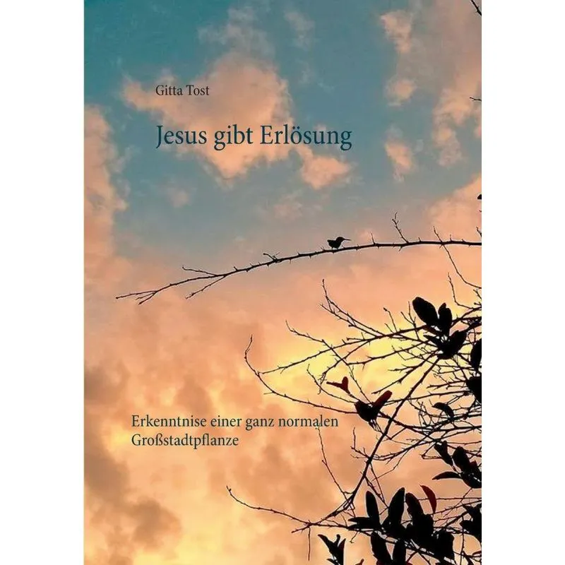Jesus gibt Erlösung