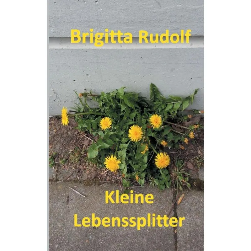 Kleine Lebenssplitter