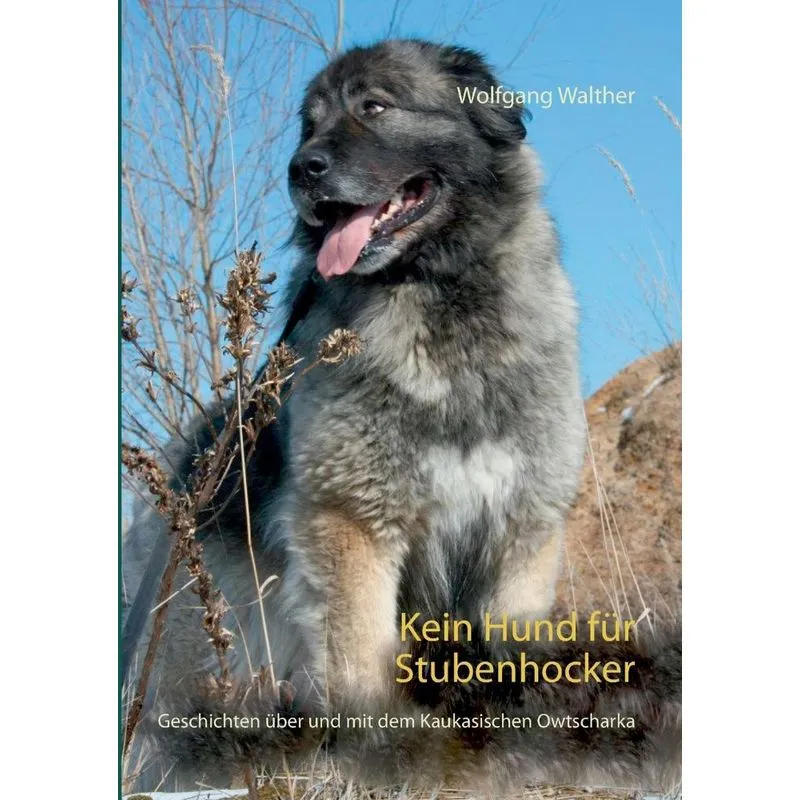 Kein Hund für Stubenhocker