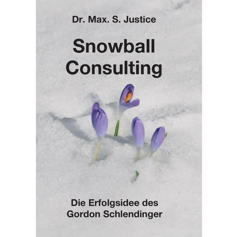 Snowball Consulting