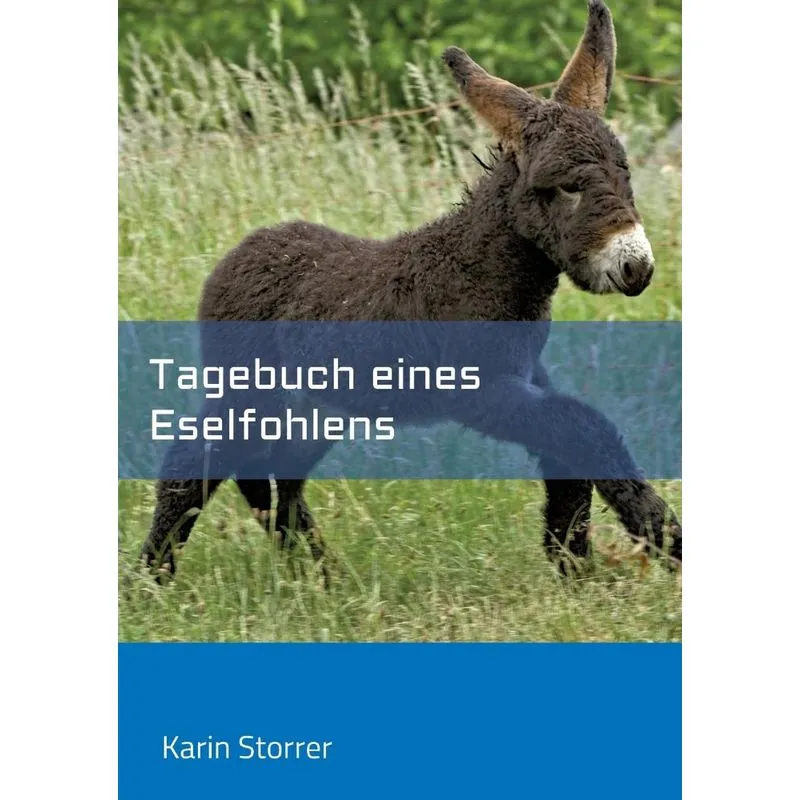 Tagebuch eines Eselfohlens