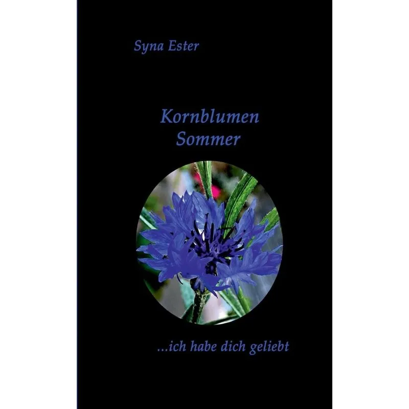 Kornblumen Sommer