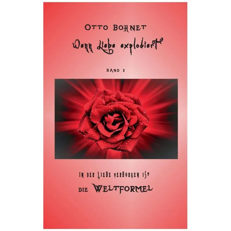 Wenn Liebe explodiert - Band 2