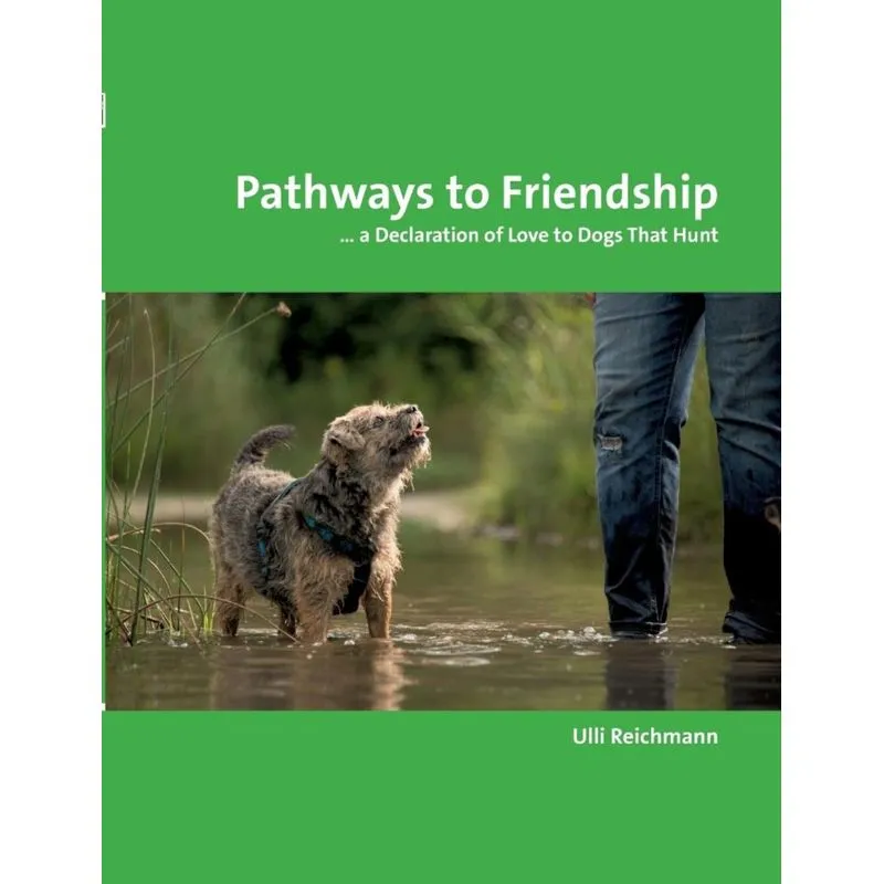 Pathways to Friendship