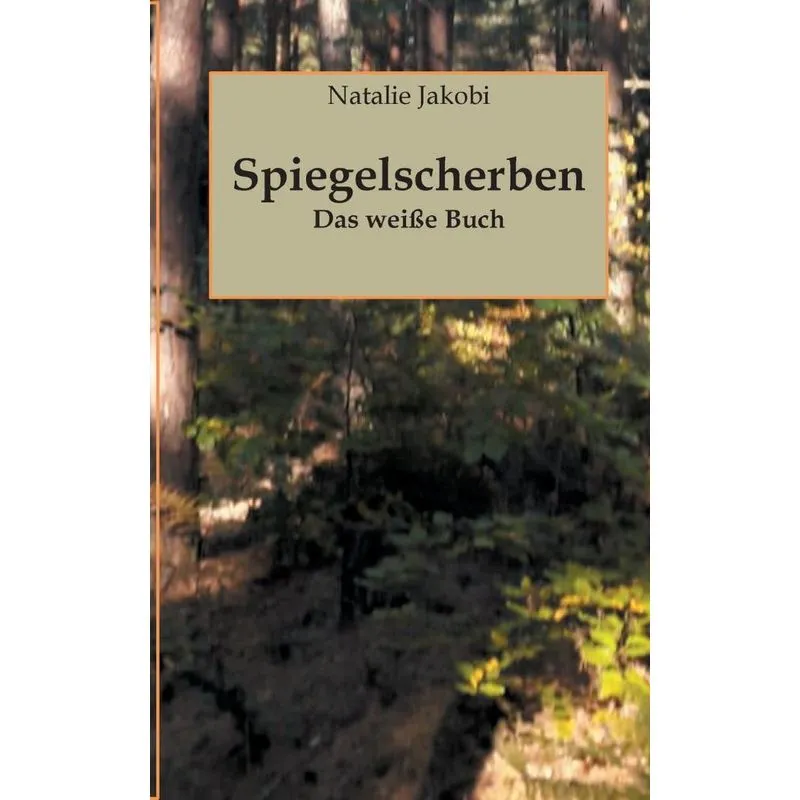 Spiegelscherben