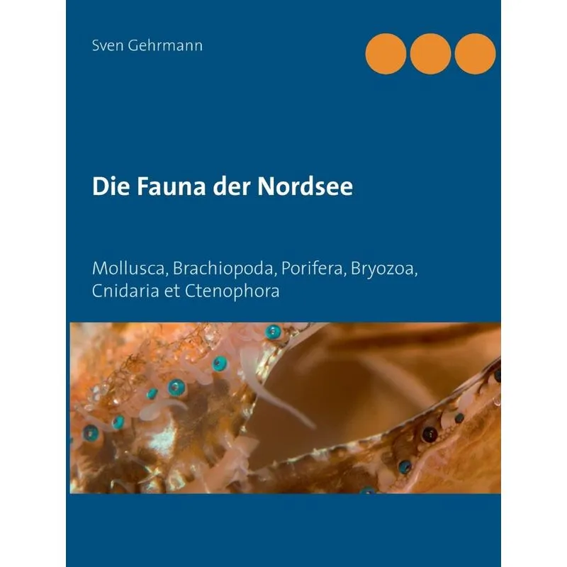 Die Fauna der Nordsee