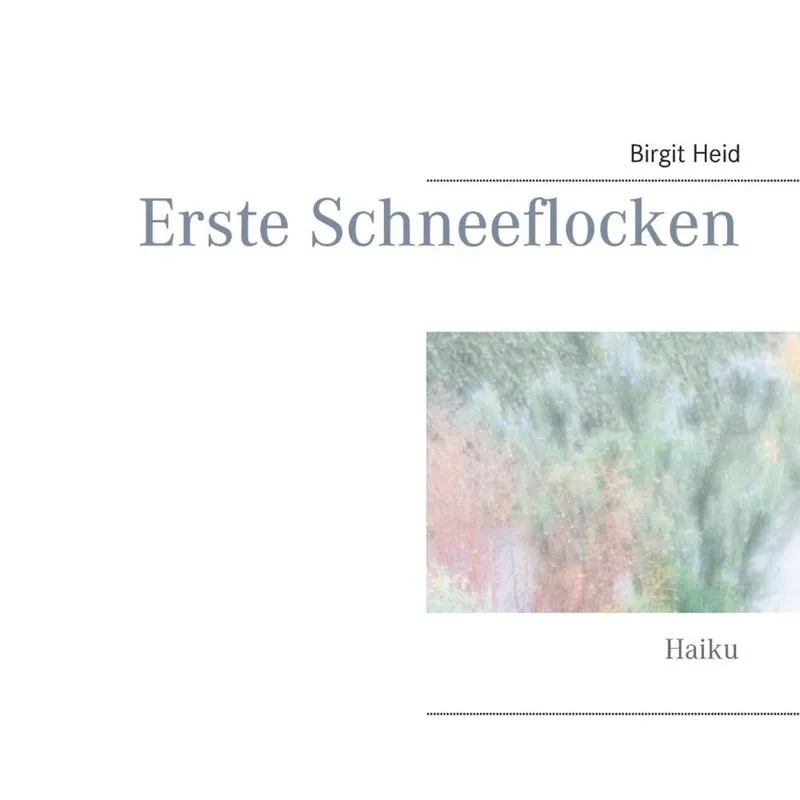 Erste Schneeflocken