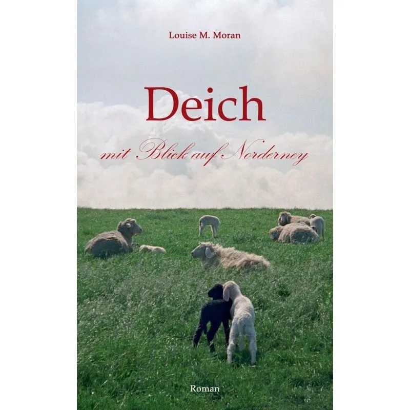 Deich mit Blick auf Norderney