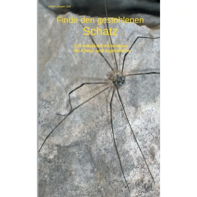 Finde den gestohlenen Schatz