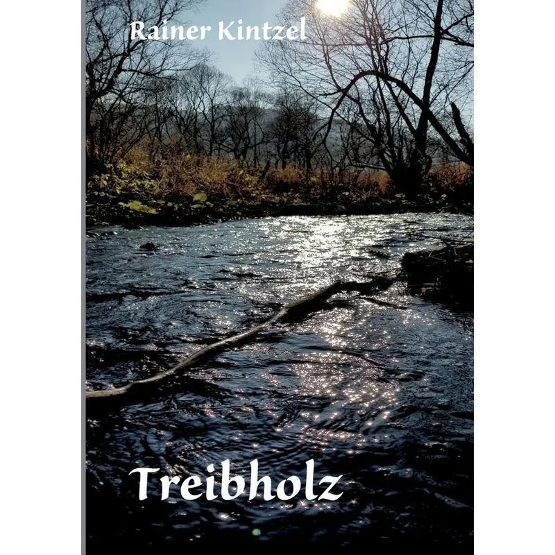 Angeschwemmt - Treibholz