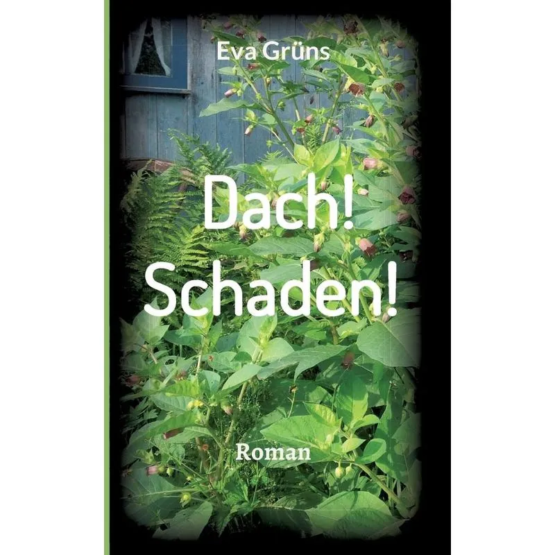 Dach! Schaden!