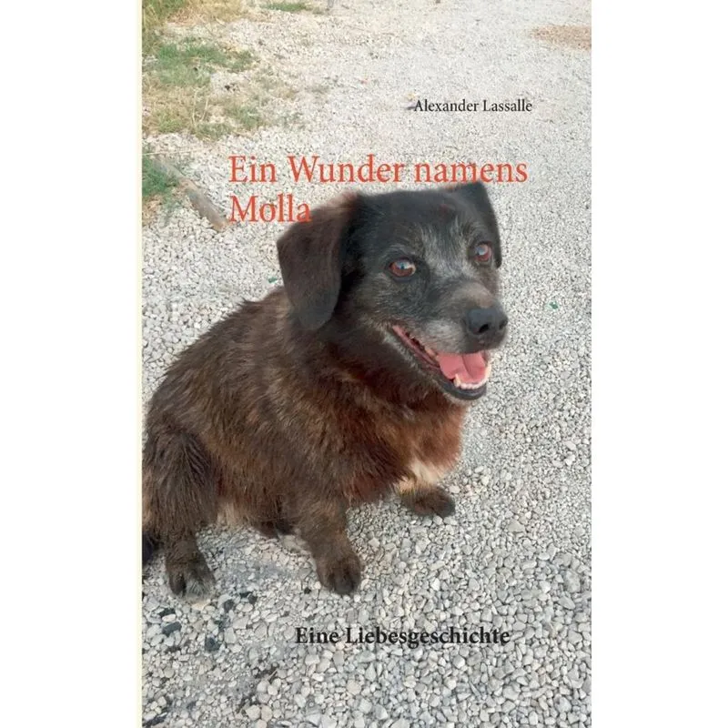Ein Wunder namens Molla