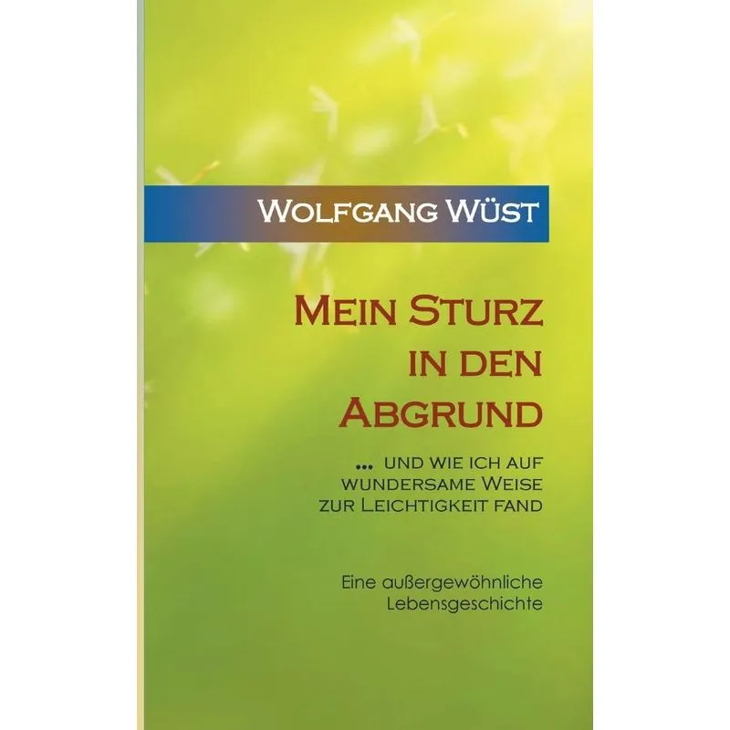 Mein Sturz in den Abgrund