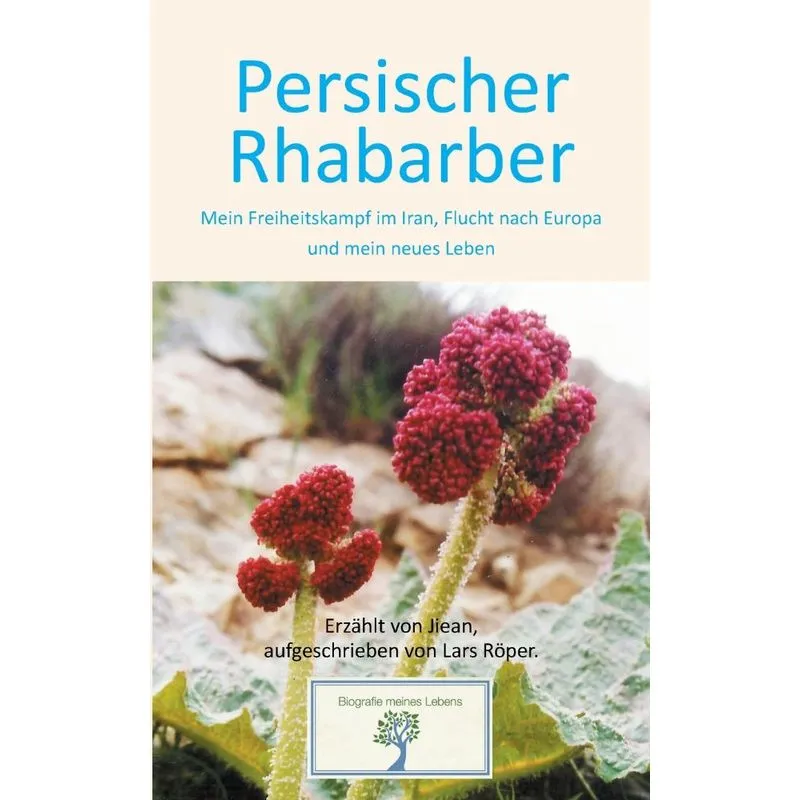 Persischer Rhabarber