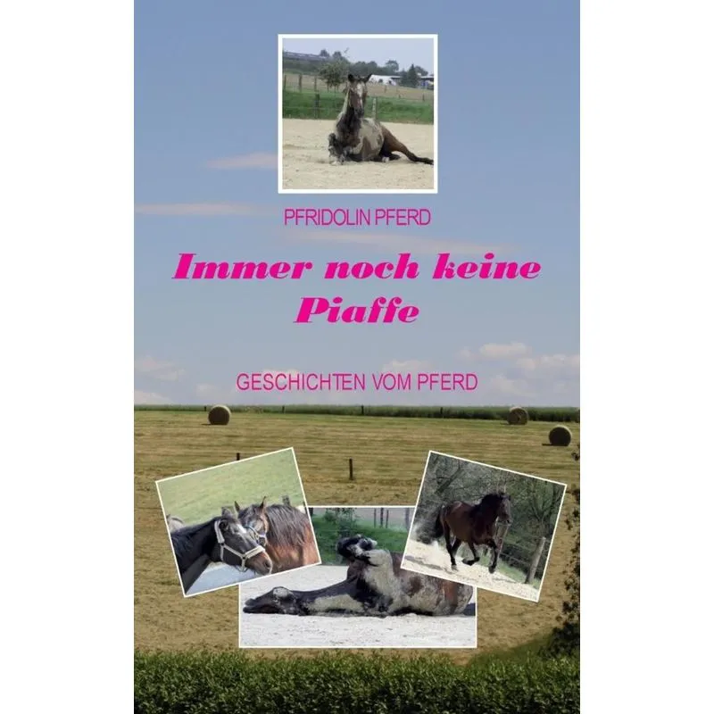 Immer noch keine Piaffe