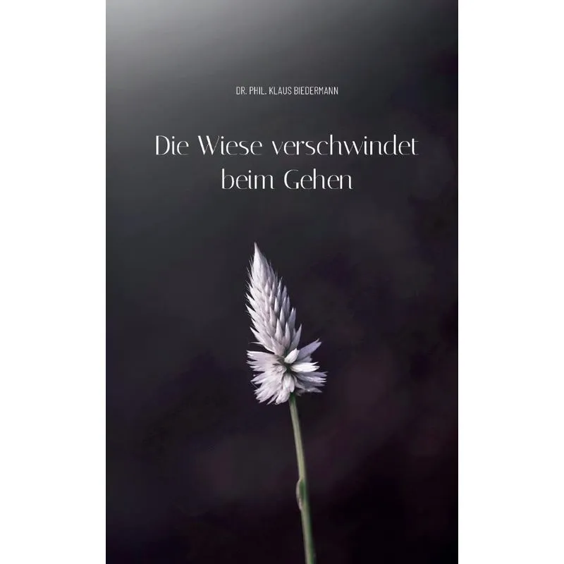 Die Wiese verschwindet beim Gehen