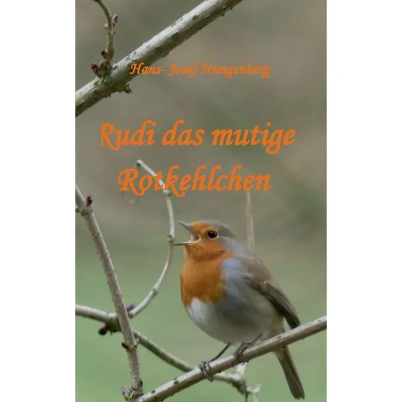 Rudi das mutige Rotkehlchen