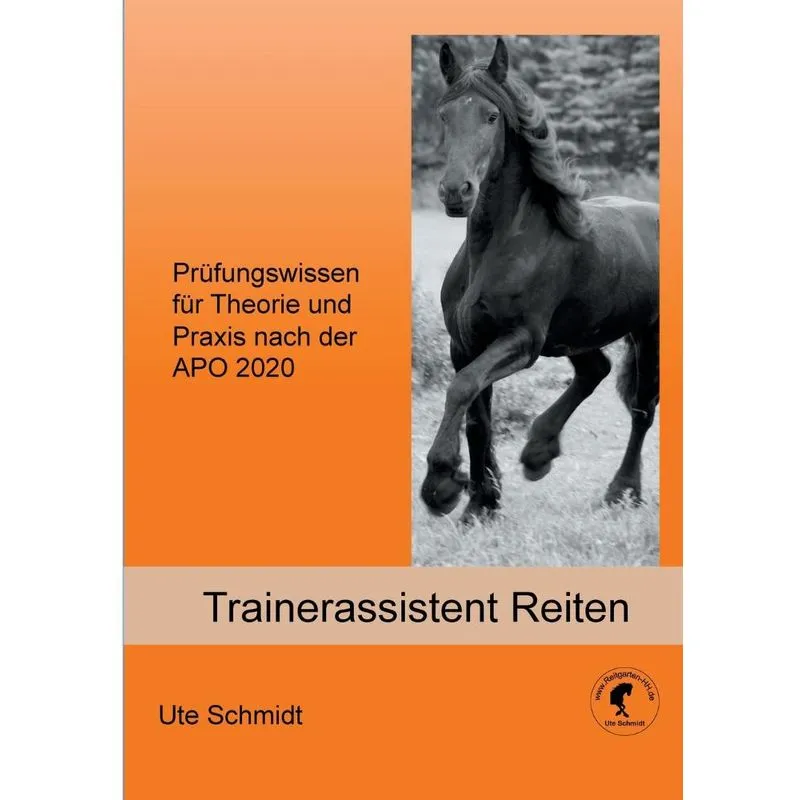 Trainerassistent Reiten