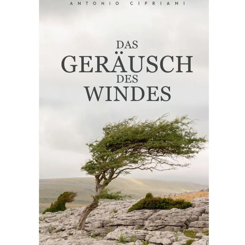 Das Geräusch des Windes