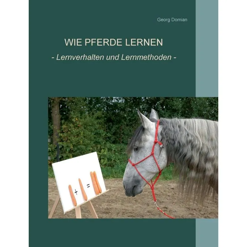Wie Pferde lernen