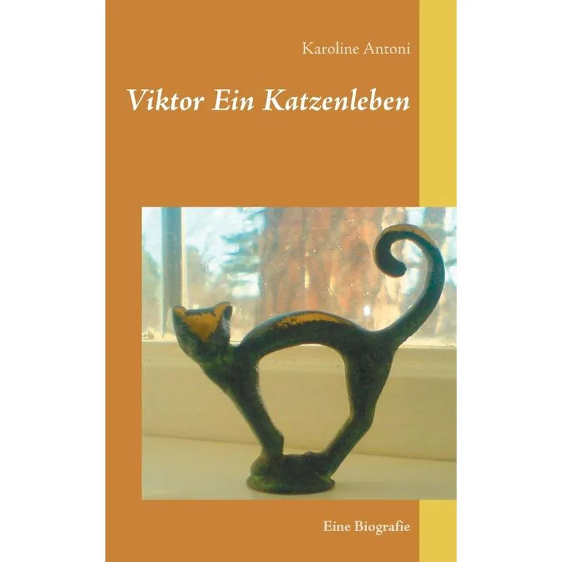 Viktor Ein Katzenleben