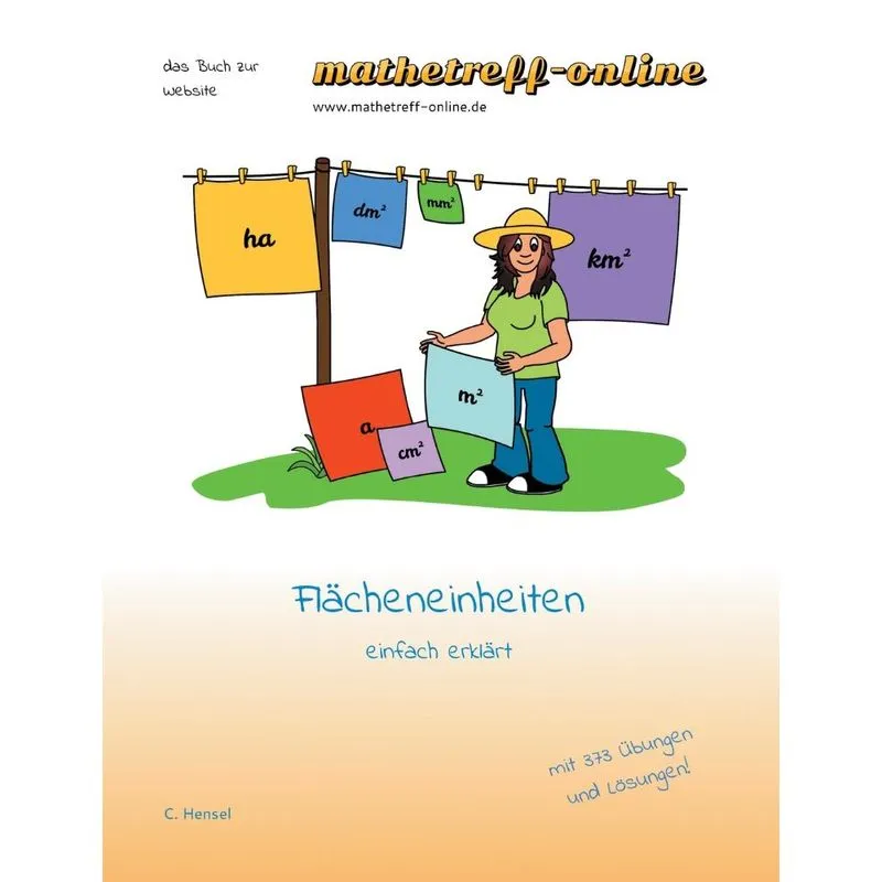 Flächeneinheiten