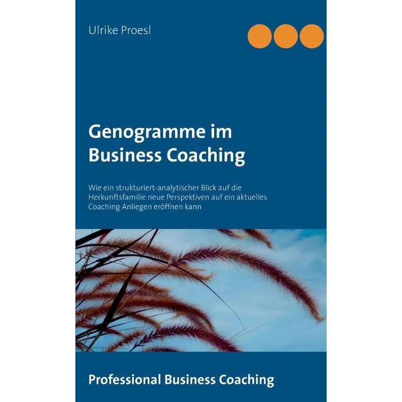 Genogramme im Business Coaching