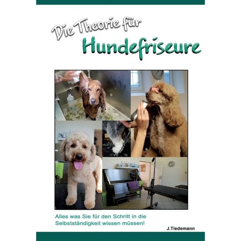 Die Theorie für Hundefriseure