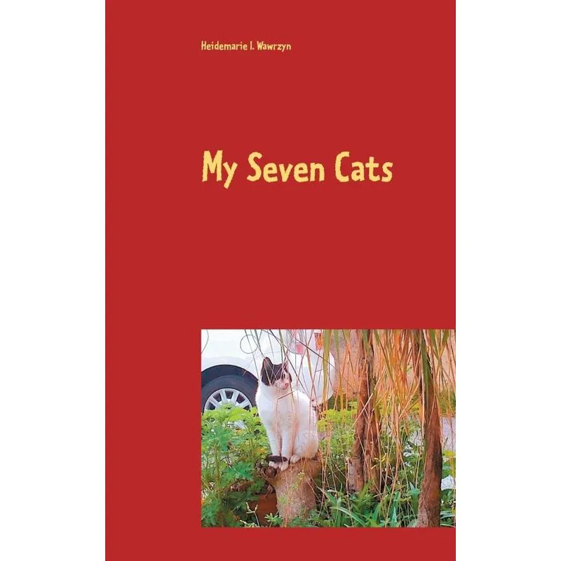 My Seven Cats