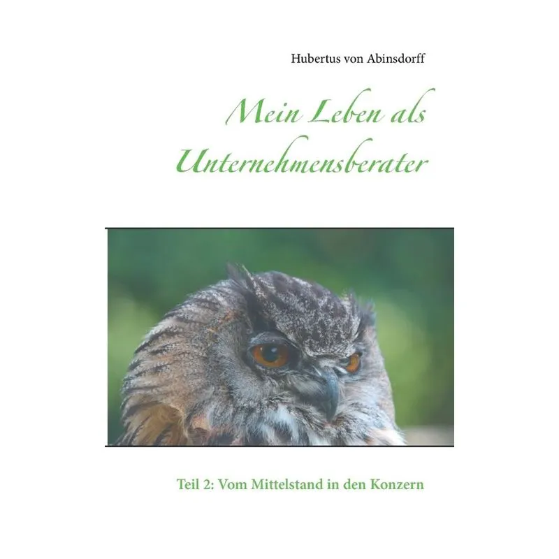 Mein Leben als Unternehmensberater