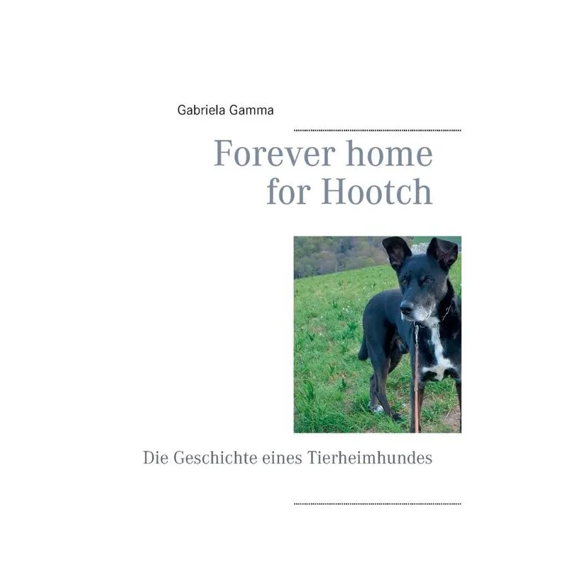 Forever home for Hootch