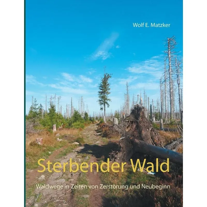 Sterbender Wald